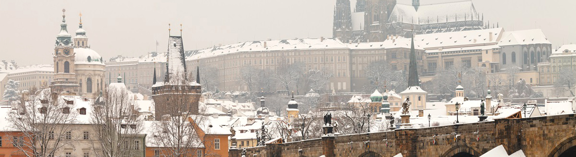 Camping Sokol Praha - Photo